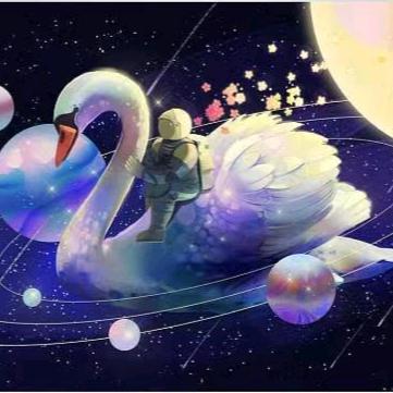 独爱 🦢