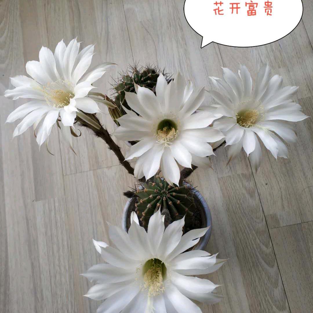 开心^O^每一天