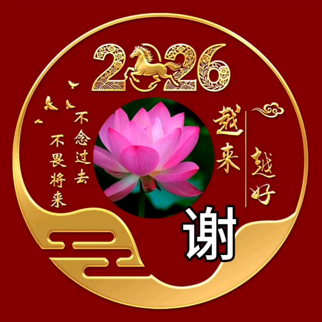 百花开放的紫梦