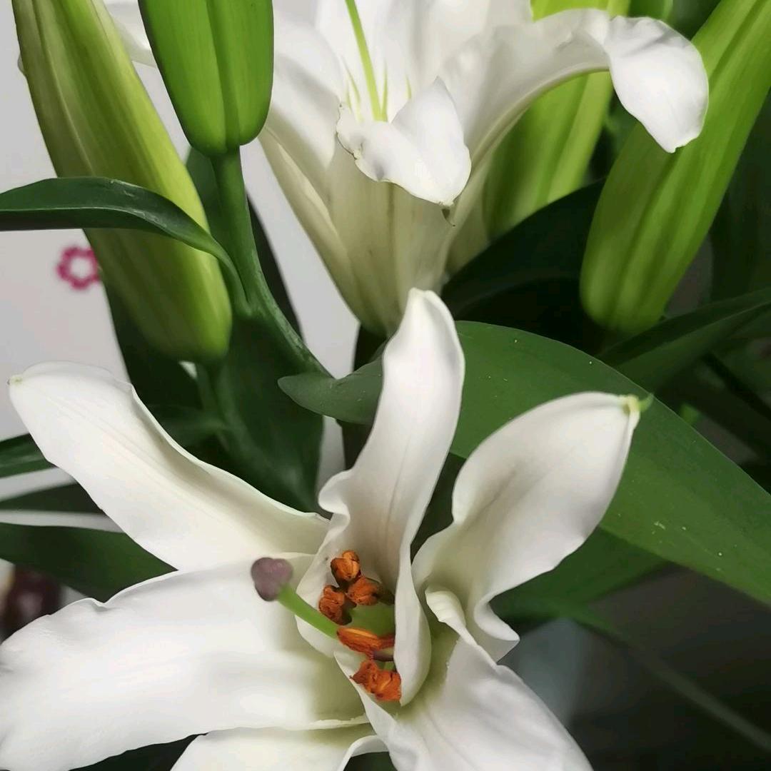 ໑ຼₒ₂₃ღ᭄归零🕊꧔ꦿ᭄💞