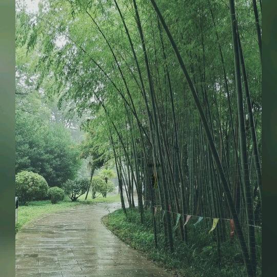 永远幸福