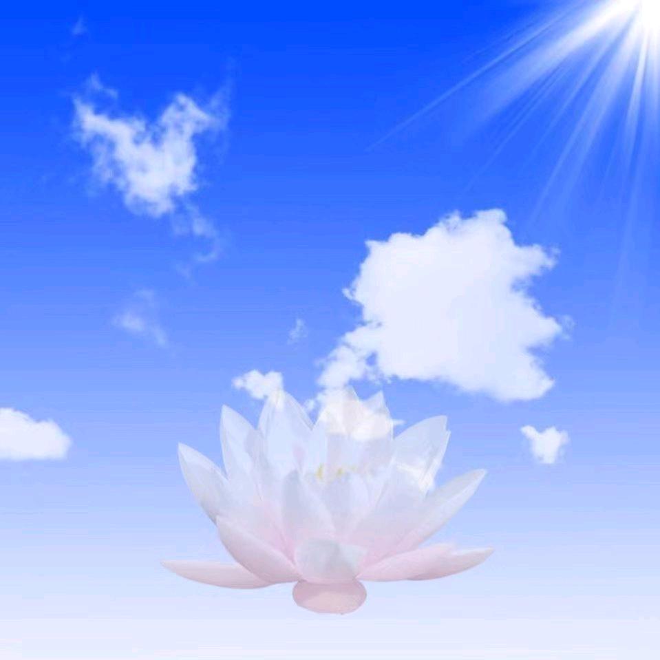 木子