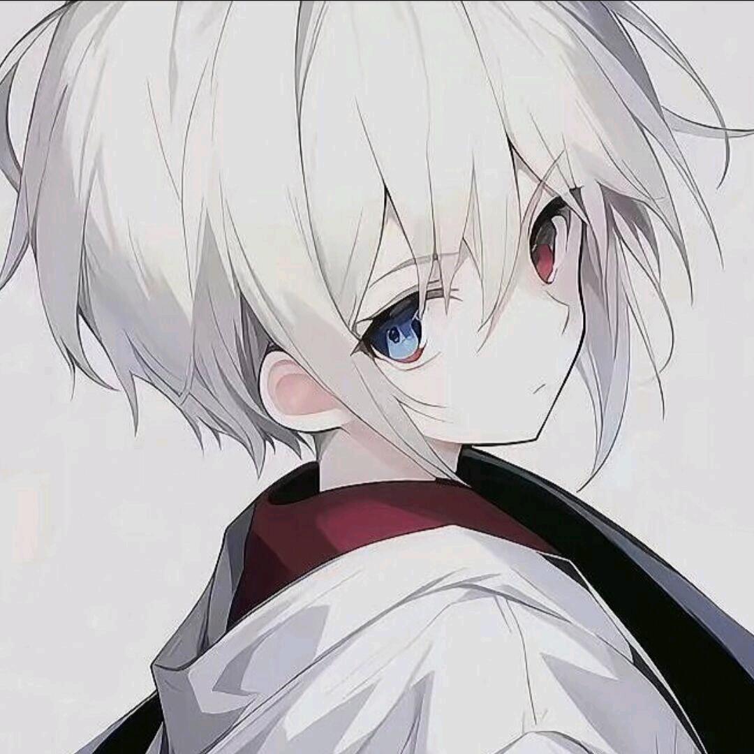 红豆