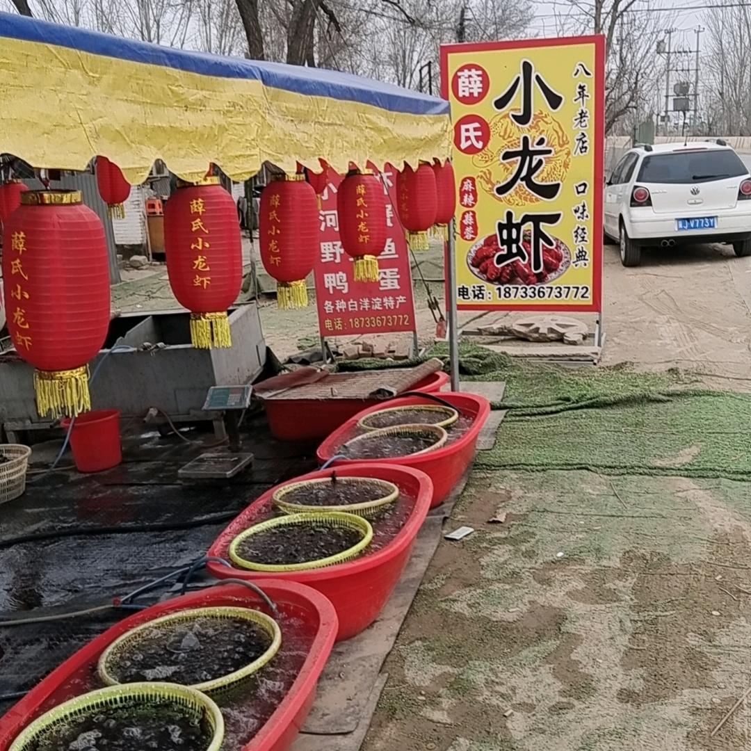 白洋淀薛氏小龙虾