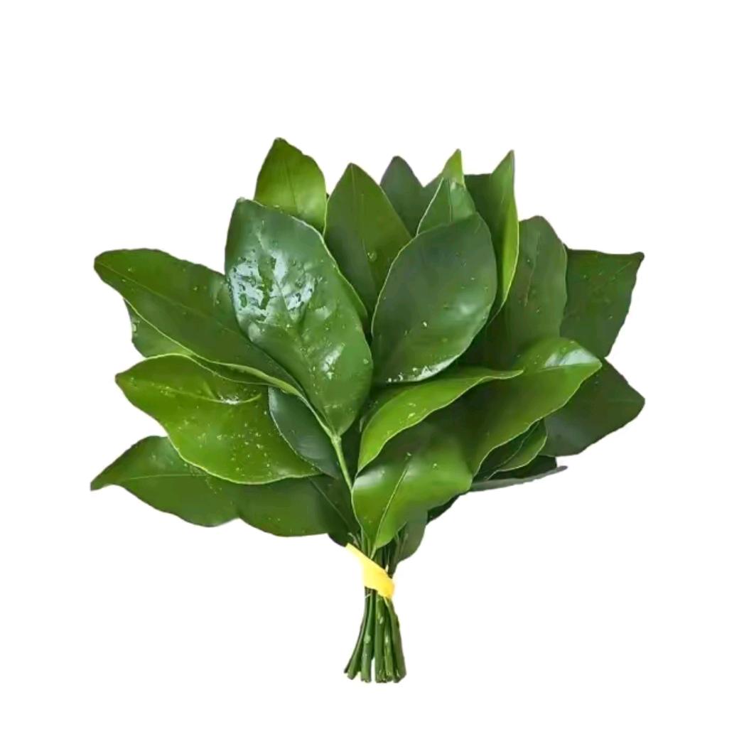 悦悦