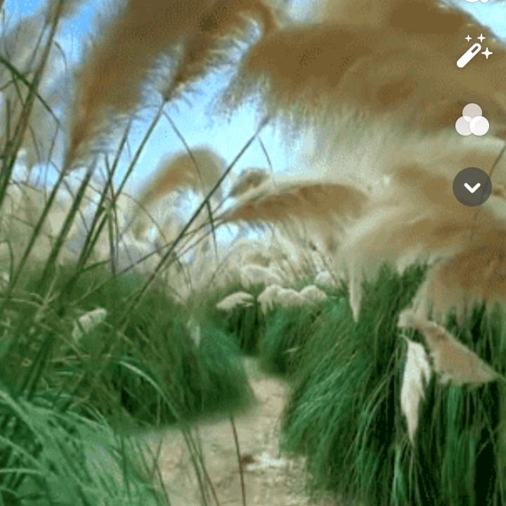 用户5683537580426