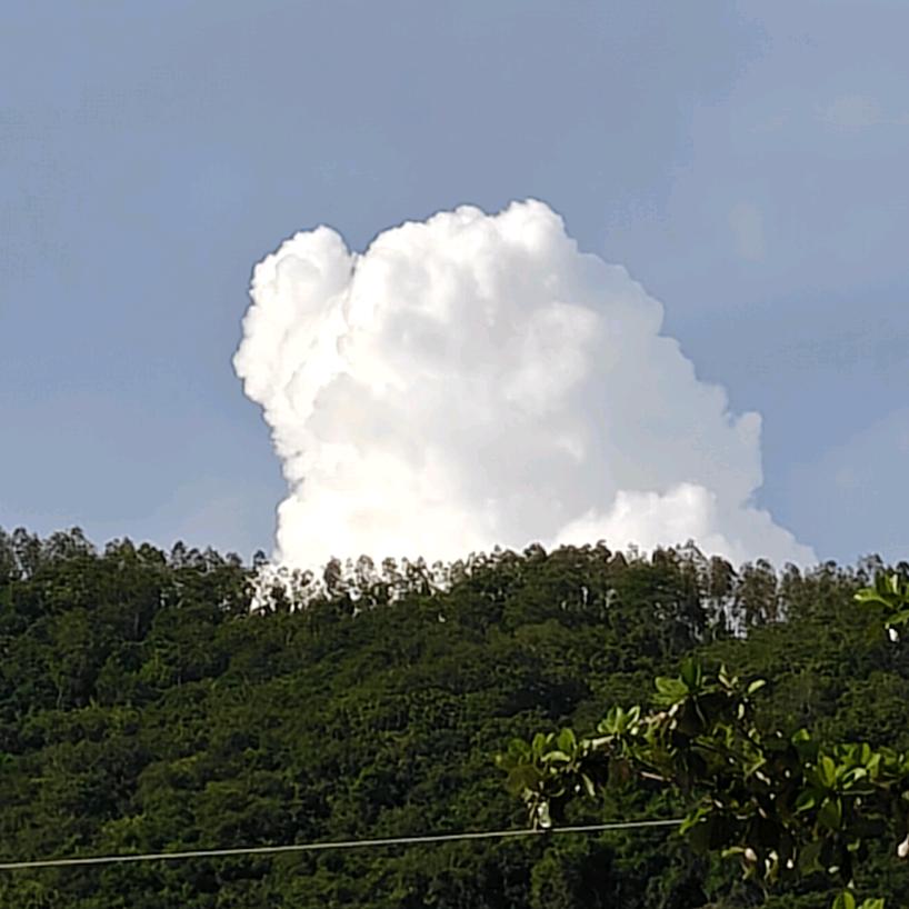 芝芝莓莓（钩织版）