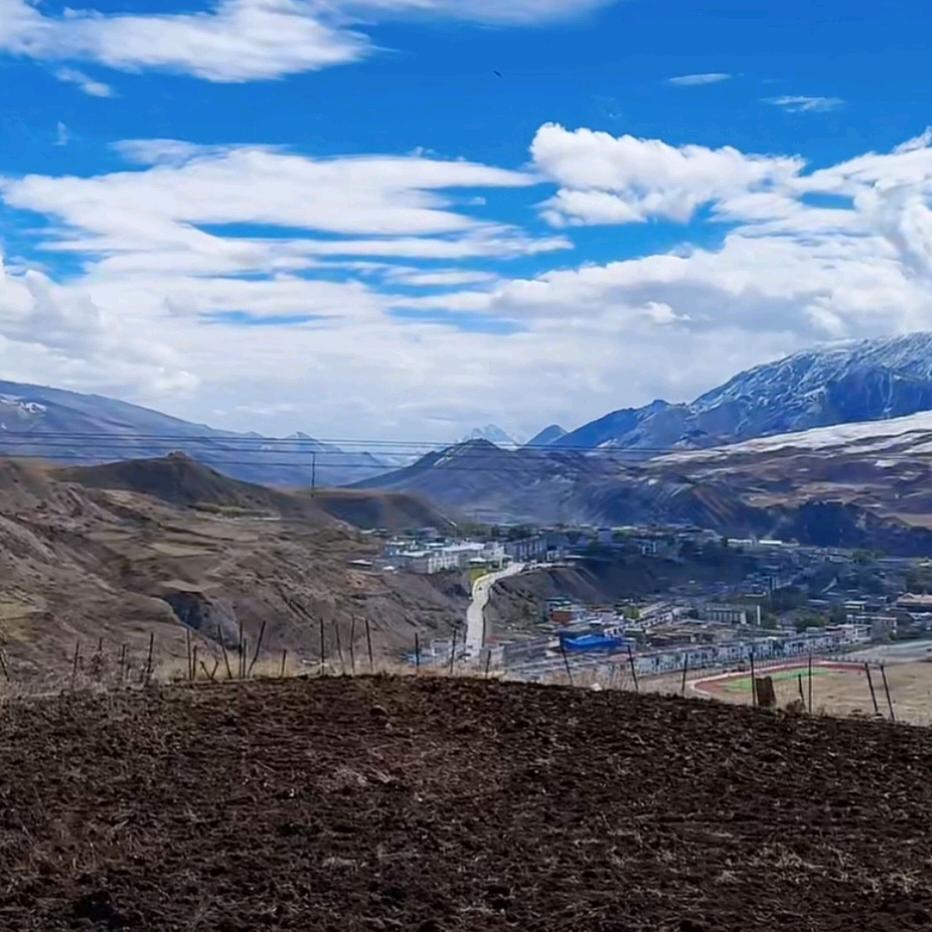 天时地利人何先生