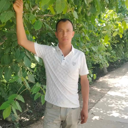 新疆 阿卜力克木