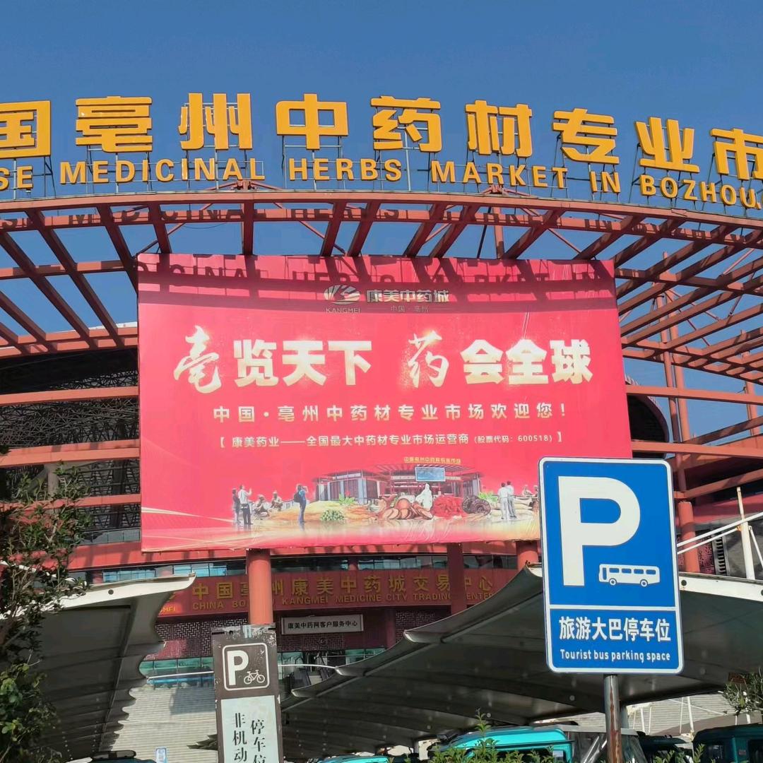 药材种植   永梅