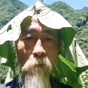 我是泥椰（已退网）