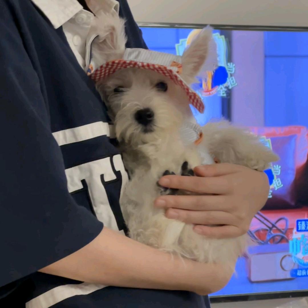 犯困