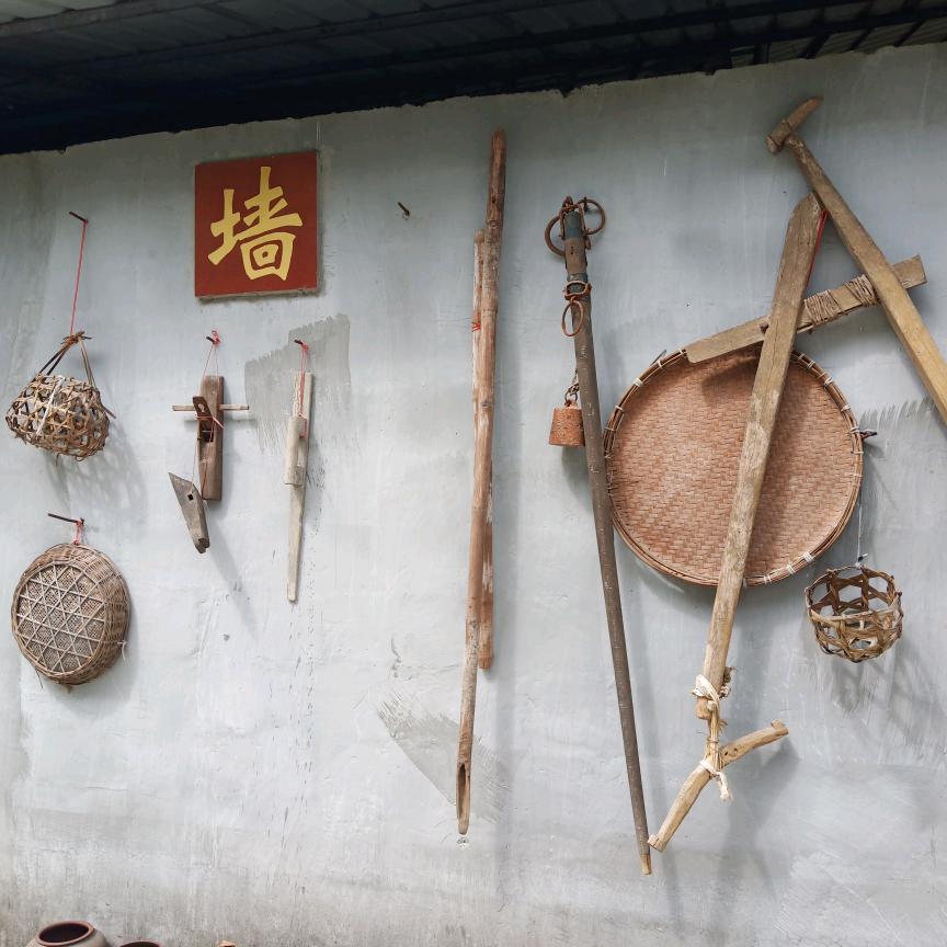 庆庆生活痛风克星