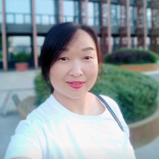 凤翔小飞象景会玲