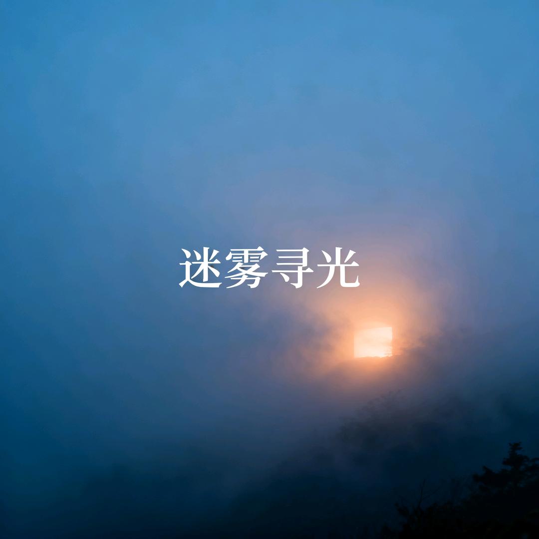 迷雾寻光