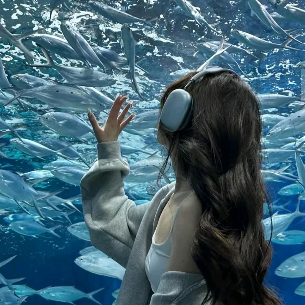 小鱼儿🐳