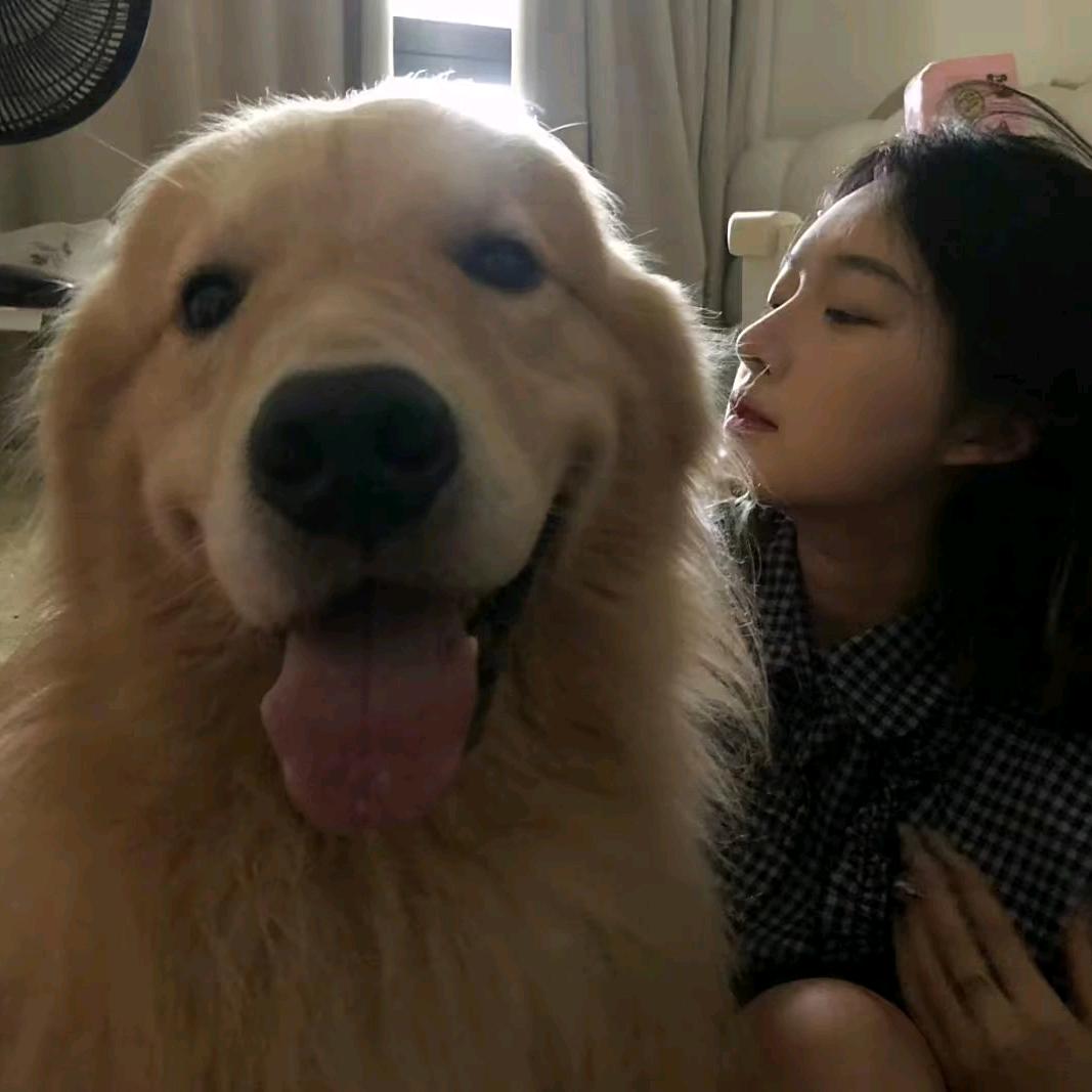 飞天小狗-