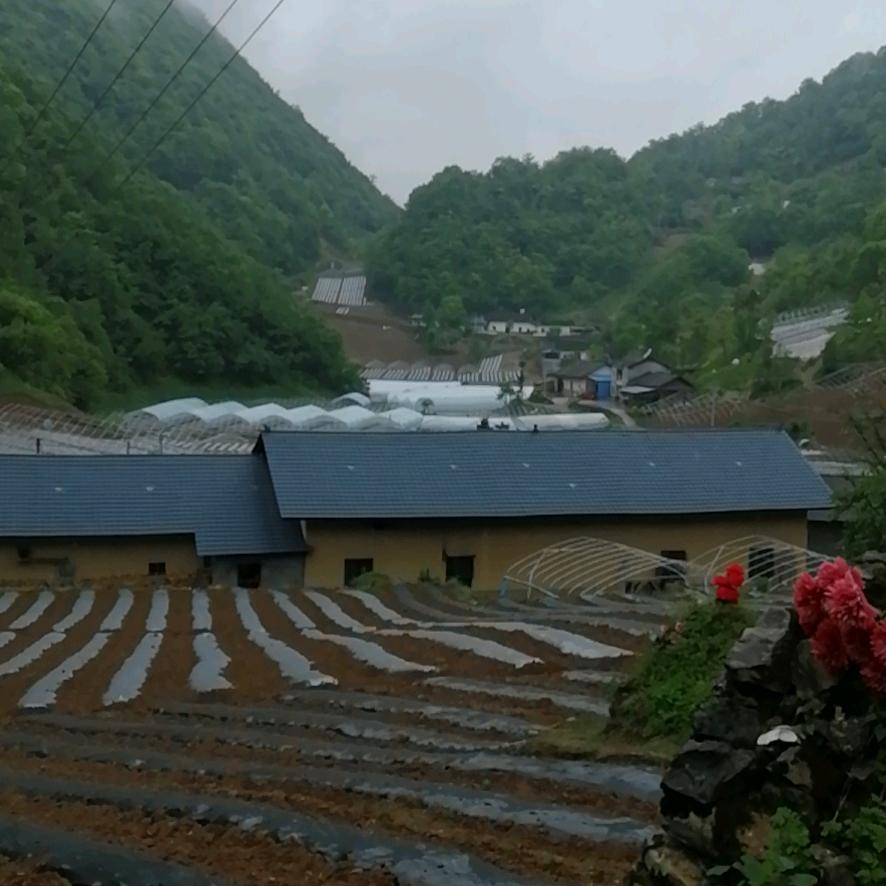 放飞心情张家虎