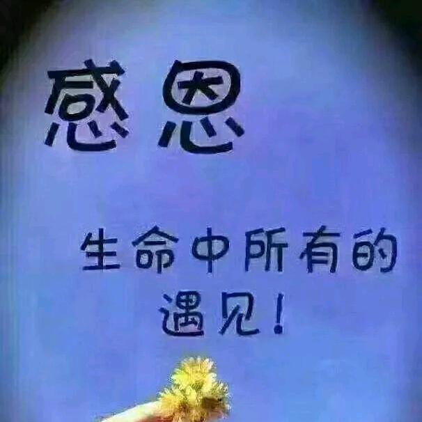 王庄镇驻地风珍发艺欢迎您