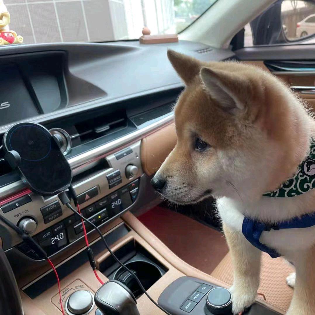 像我看过来