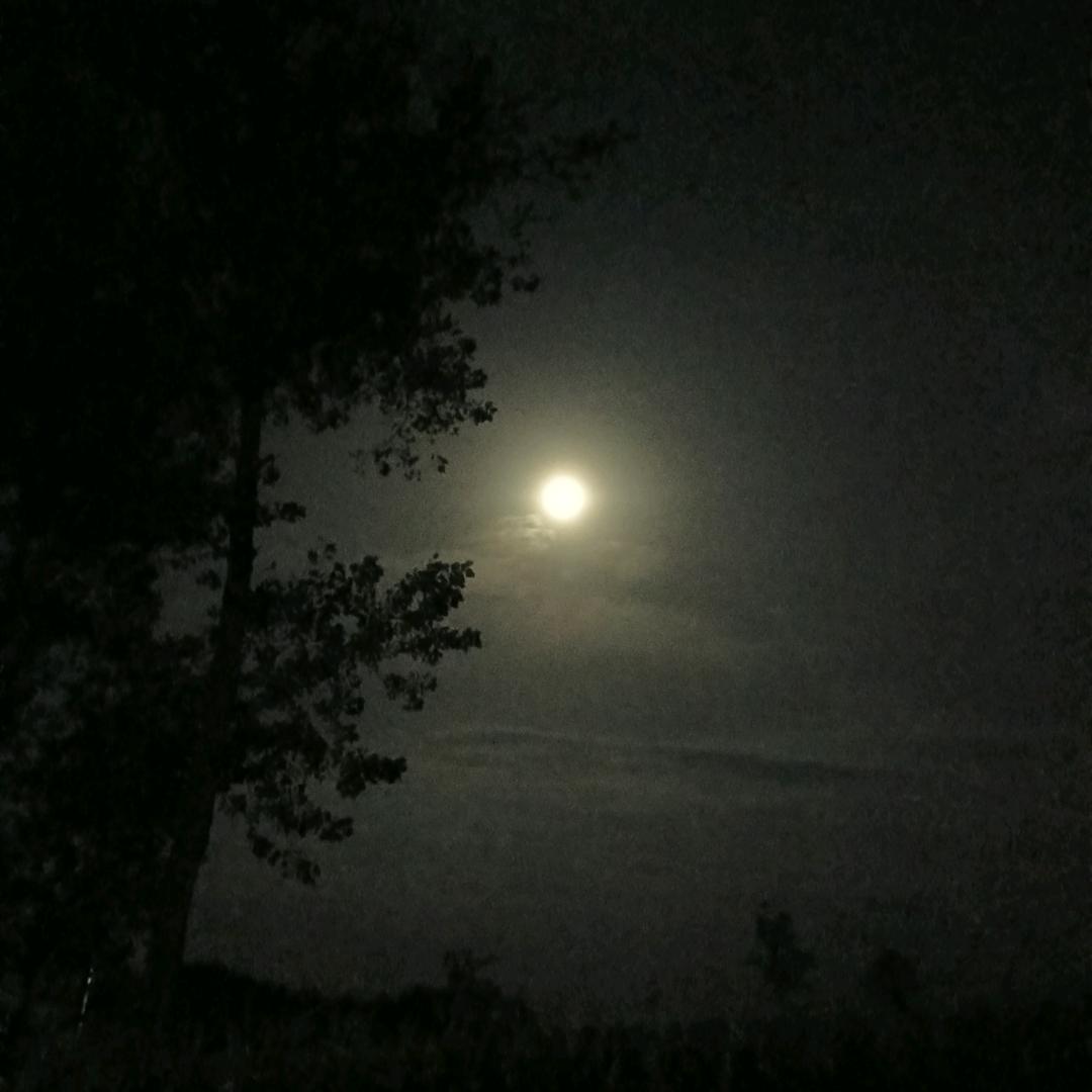 李小王@