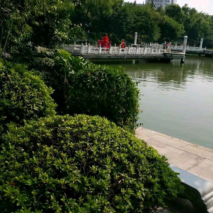 王者荣耀1