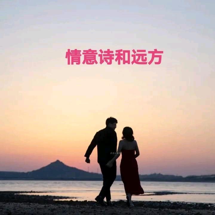 🌺情意诗和远方🌺我在南阳很想你🌺