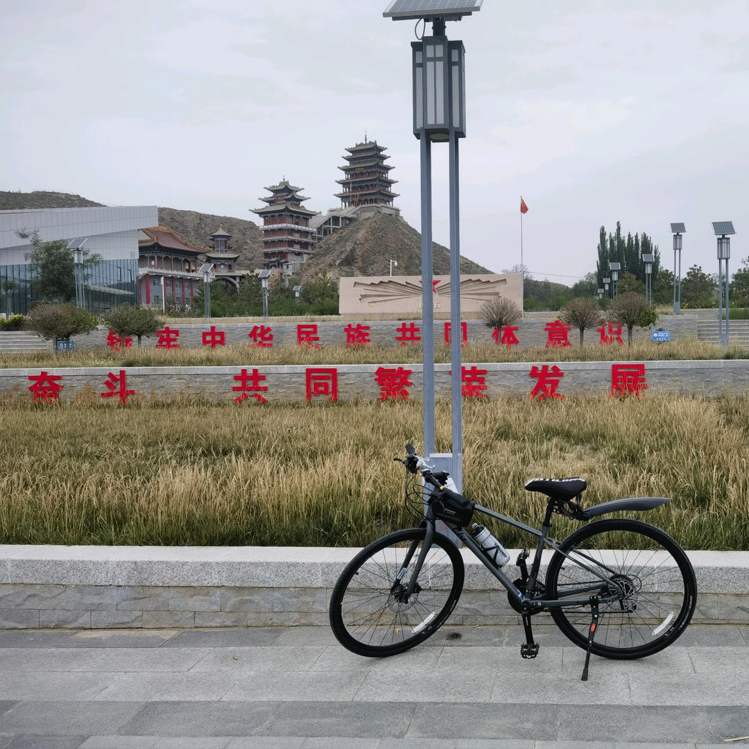 励志中国龙柳丁
