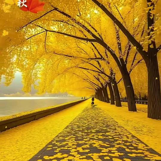 多年以后