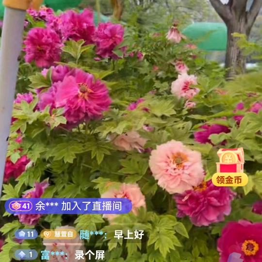 眼里有光