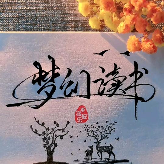 梦幻读书