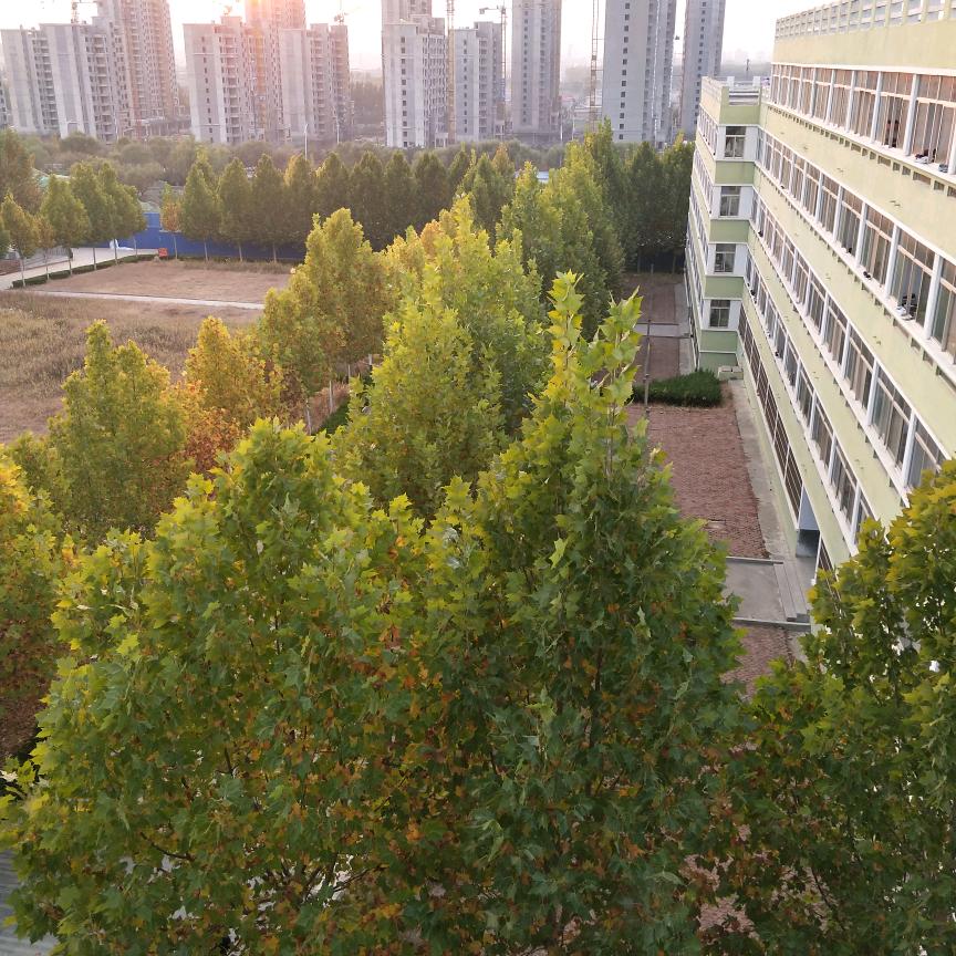 南南（暂无目标版）𒐫