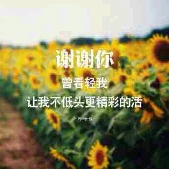 梦歌888