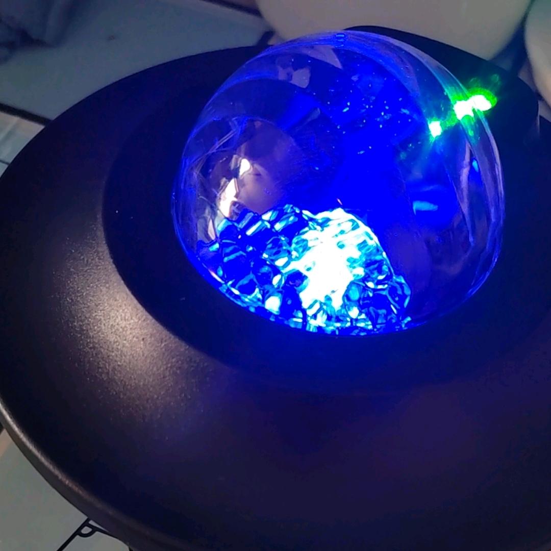 陈翔宇