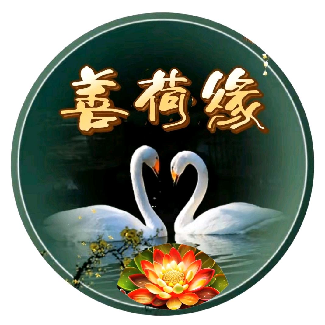 善荷缘