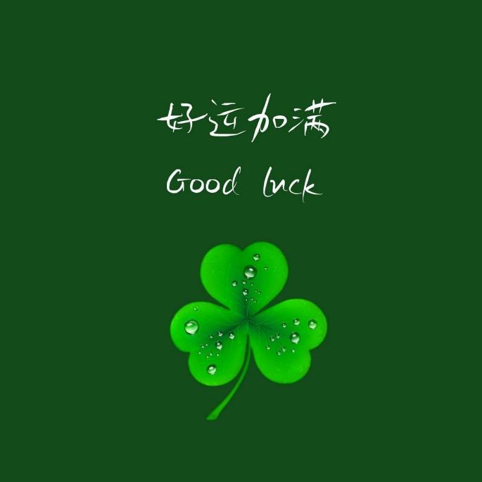 🍃封涩🌺