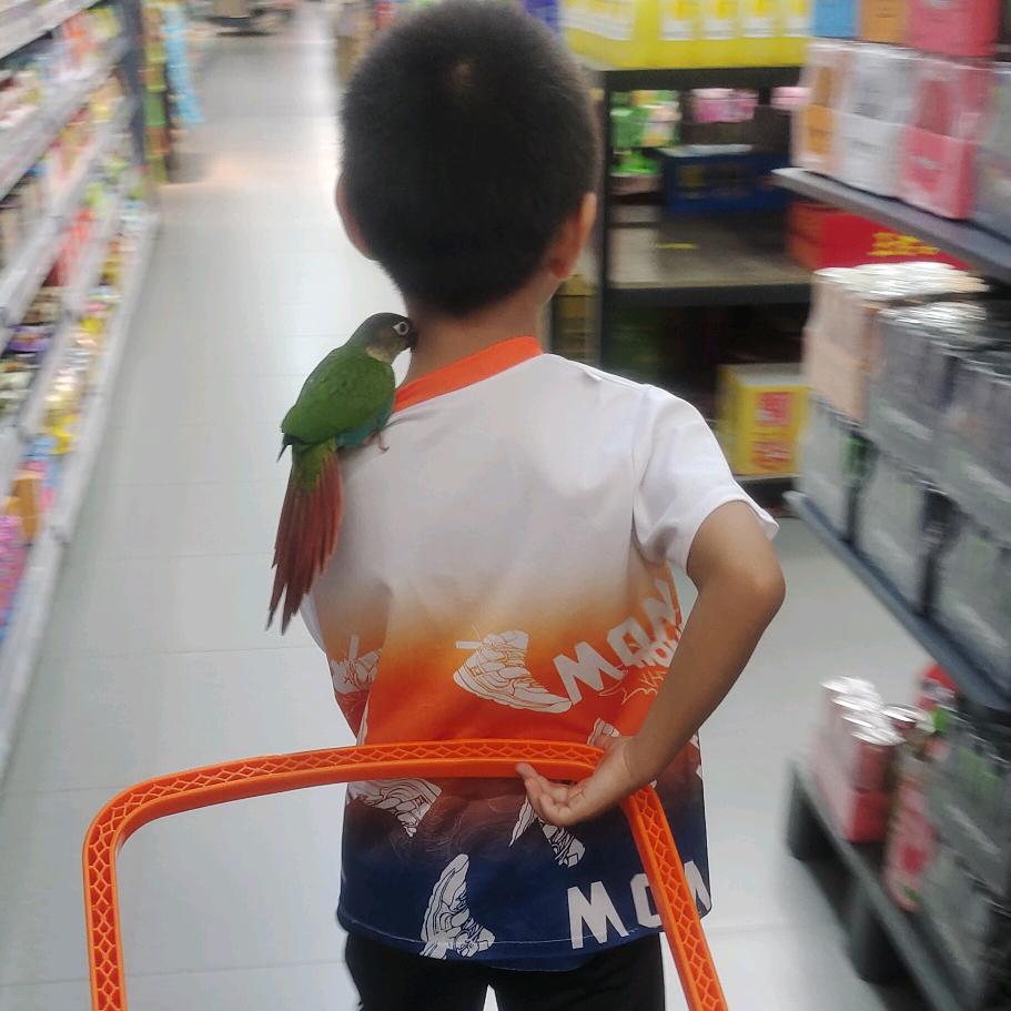 二宝不乖