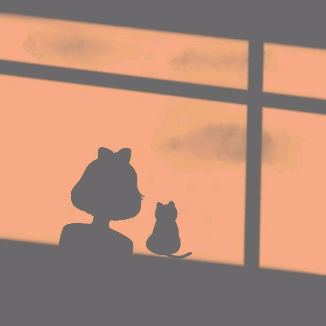 不晚✨