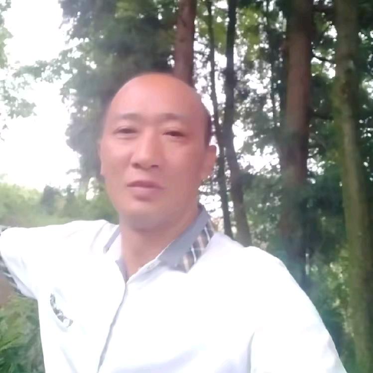 雨中思念