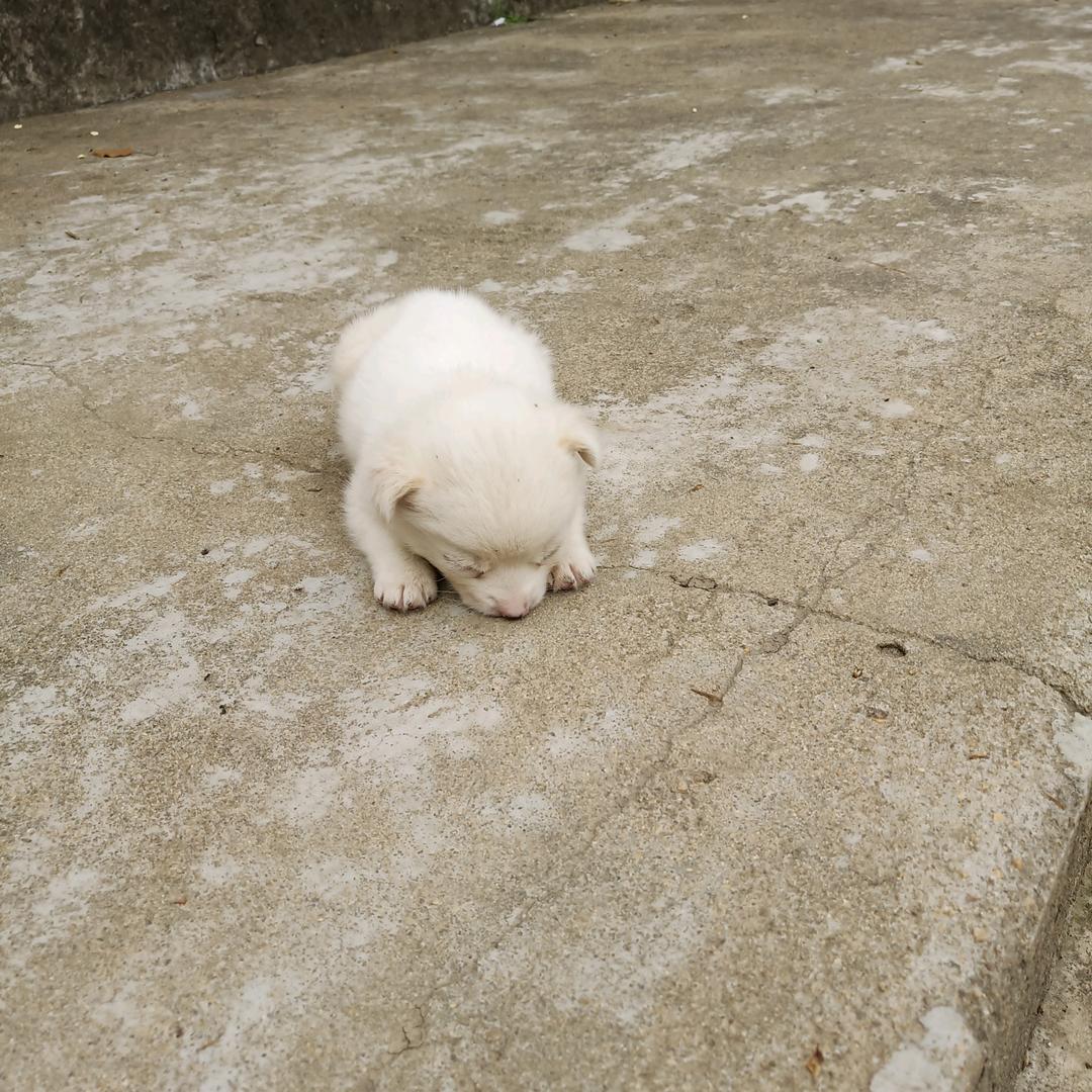 过火