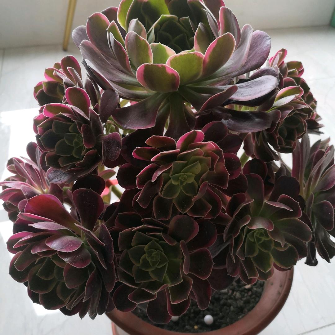 今生有你💝