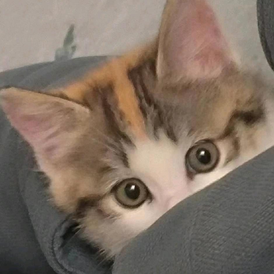 烬