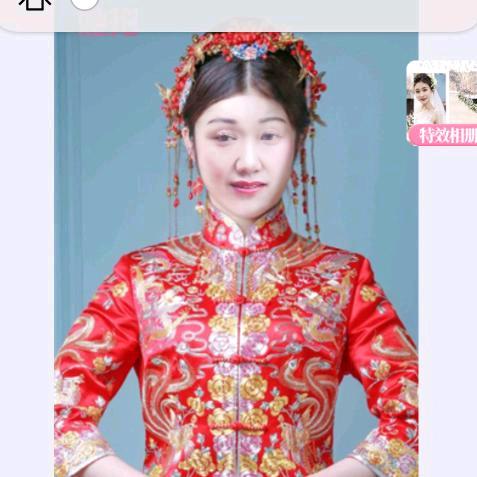 红玫瑰709