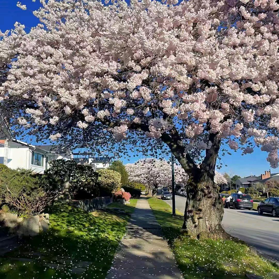 我睡觉的时候不困