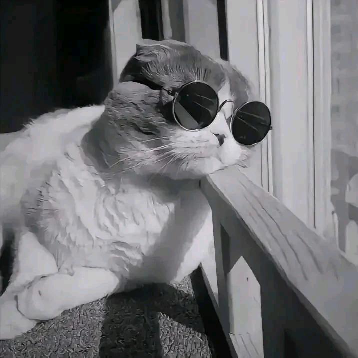 开心乐购百货店