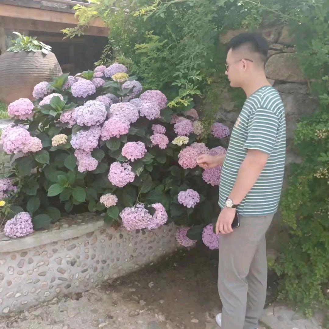 🍀九零年代@(<生活号>)☞