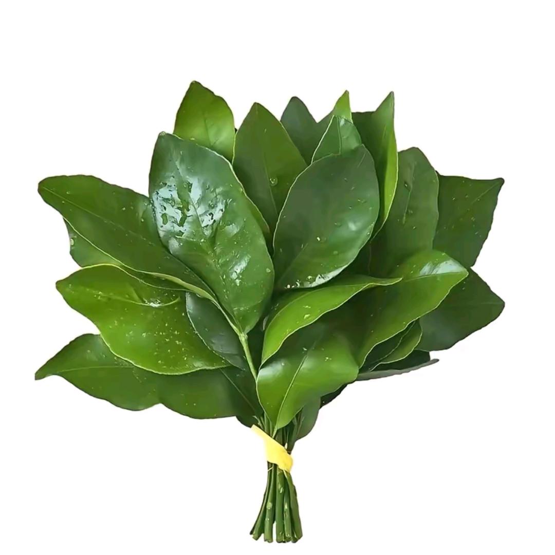 北巷