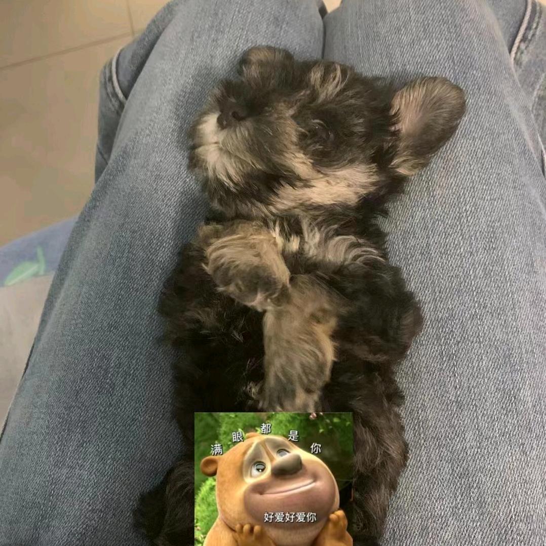 大羊腿