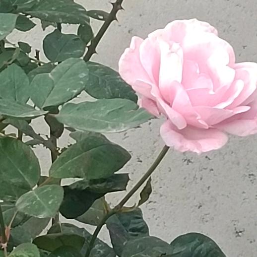 开心快乐🙂🔥🔥🔥❤️❤️