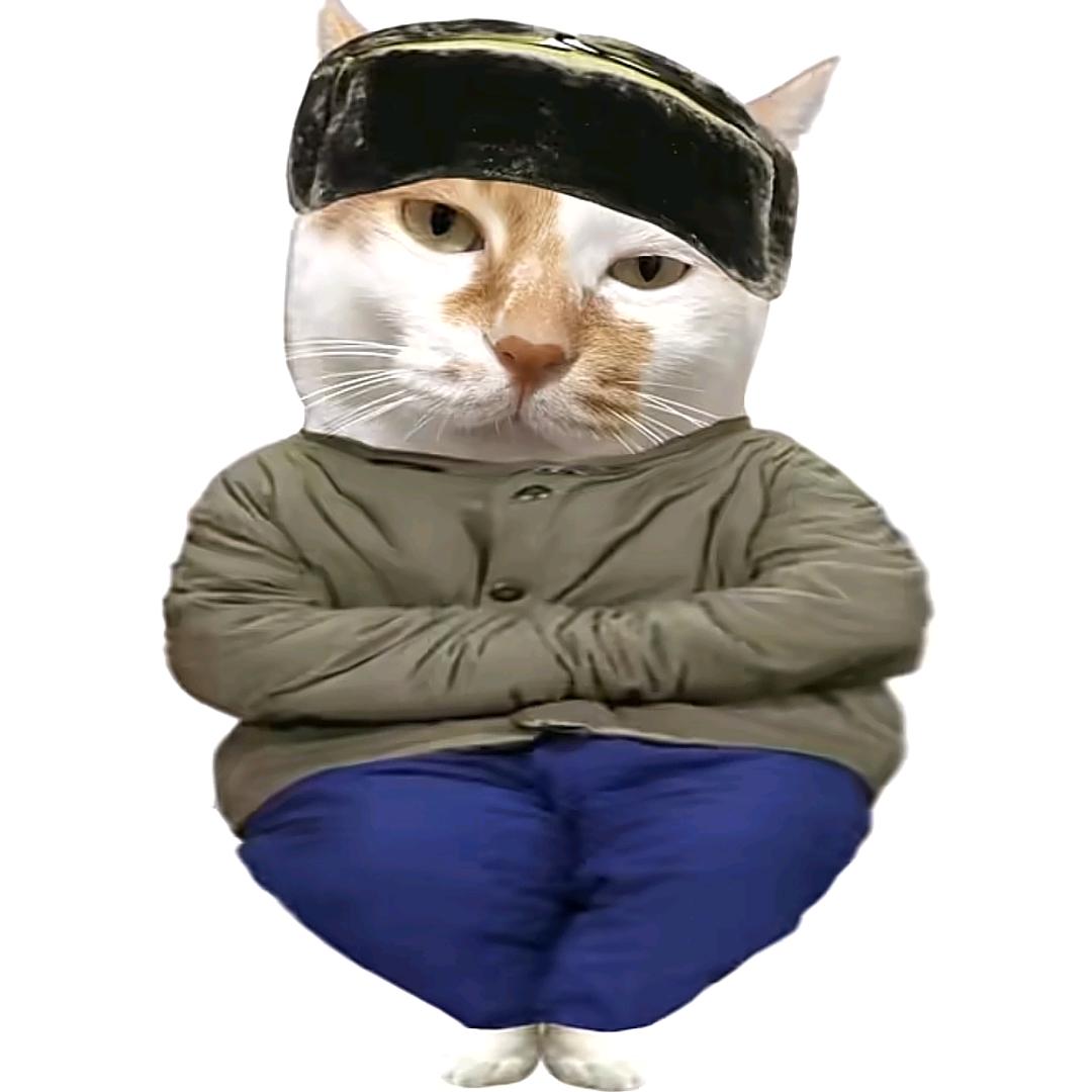 默语听风～